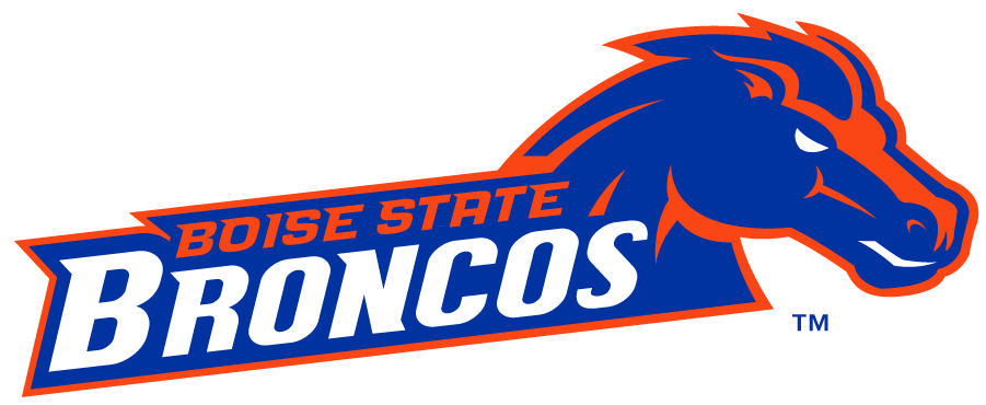 Boise State Broncos 2012-2013 Secondary Logo v3 t shirts iron on transfers